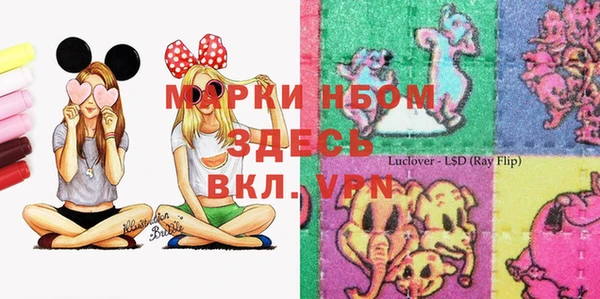 ПСИЛОЦИБИНОВЫЕ ГРИБЫ Аркадак