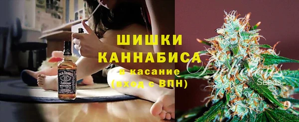 ПСИЛОЦИБИНОВЫЕ ГРИБЫ Аркадак