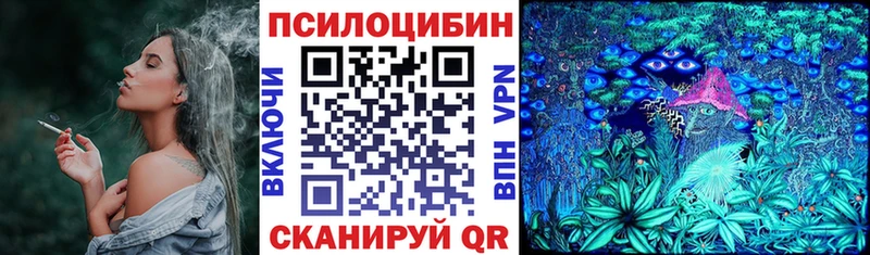 Псилоцибиновые грибы Psilocybine cubensis  купить наркоту  Няндома 